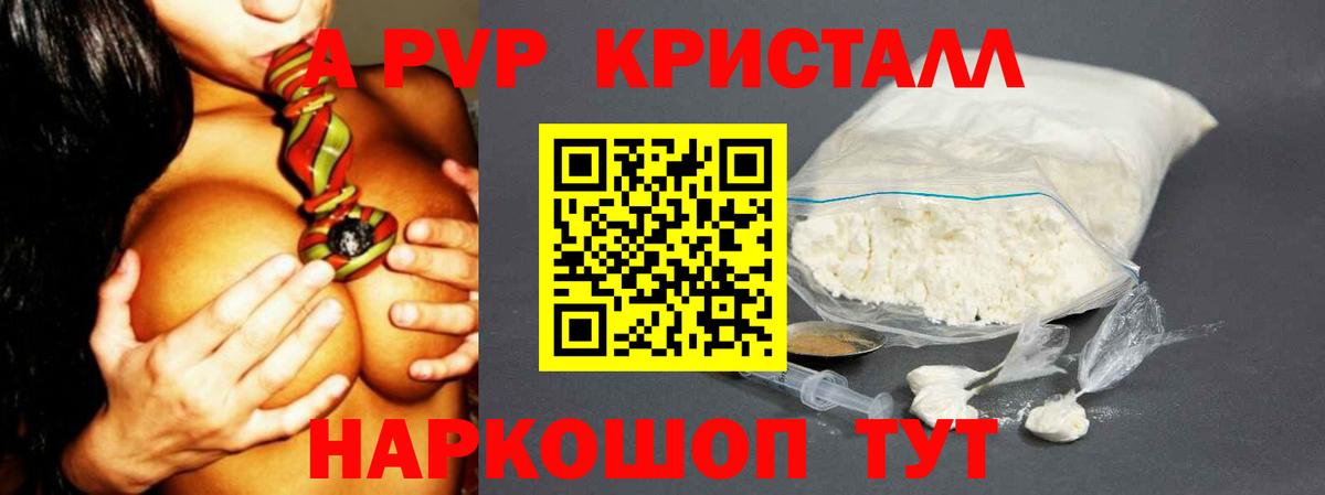 Альфа ПВП СК КРИС Ялта