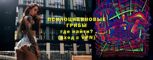 гашик Новозыбков