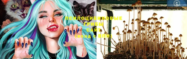 таблы Новодвинск