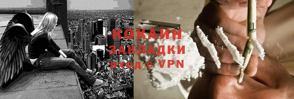 гашик Новозыбков